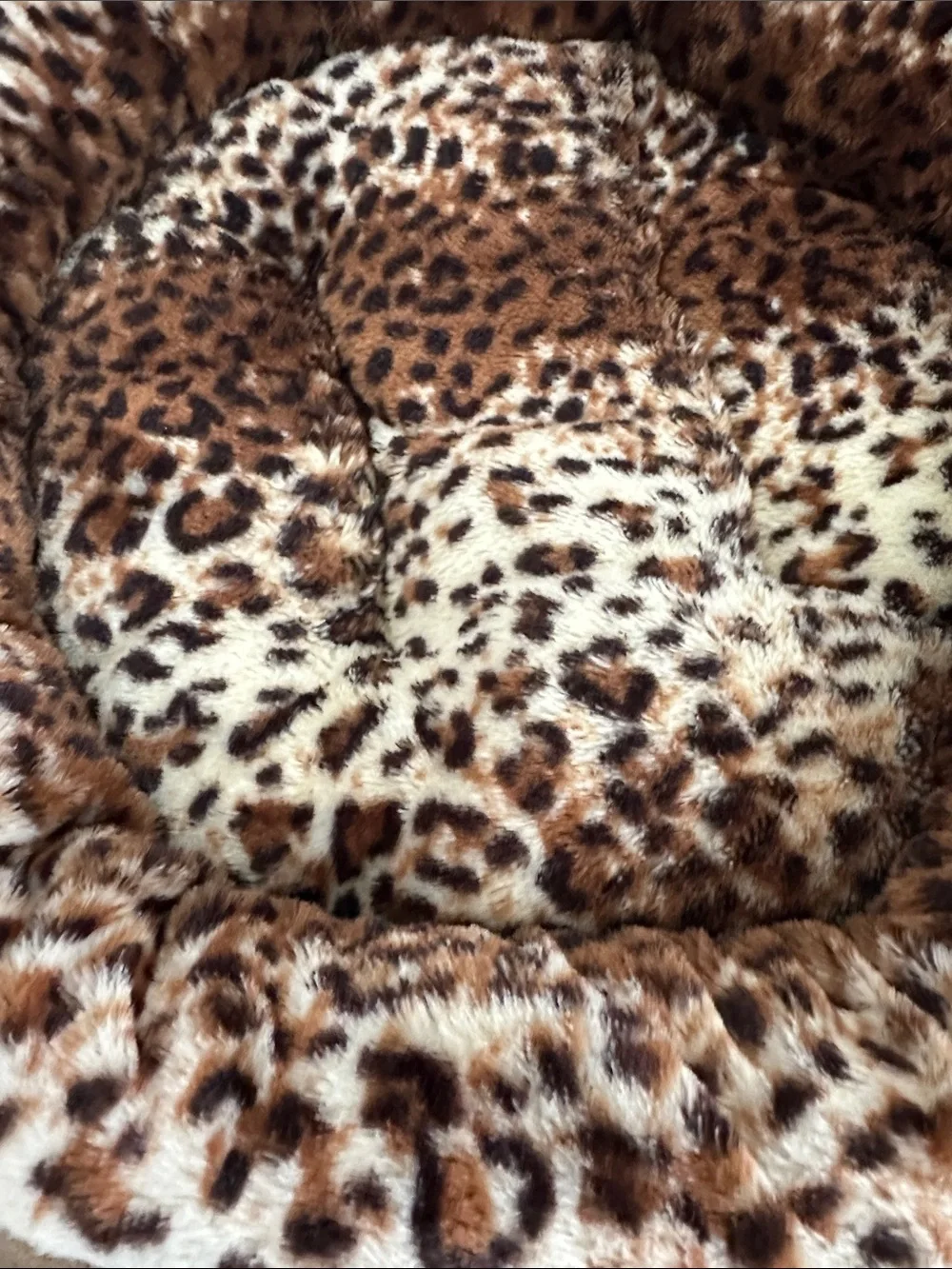 Leopard Print Doggy Bed with Red Fleece Blanket